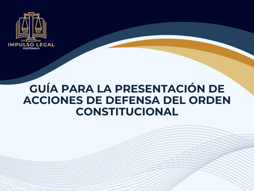 Guía para la Presentación de Acciones de Defensa del Orden Constitucional