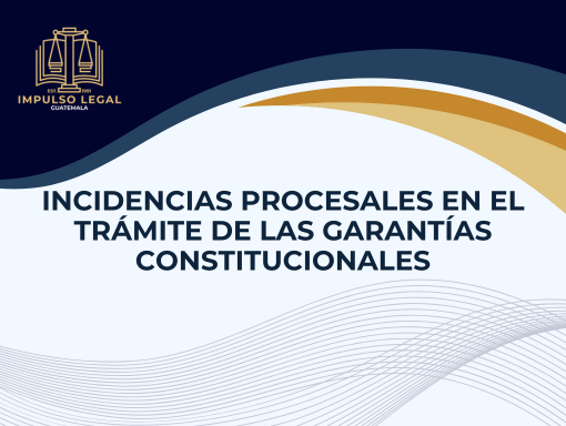 Incidencias Procesales en el Trámite de las Garantías Constitucionales